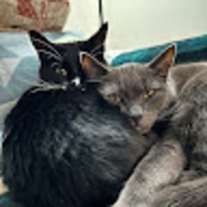 Meet your Posher, Erin